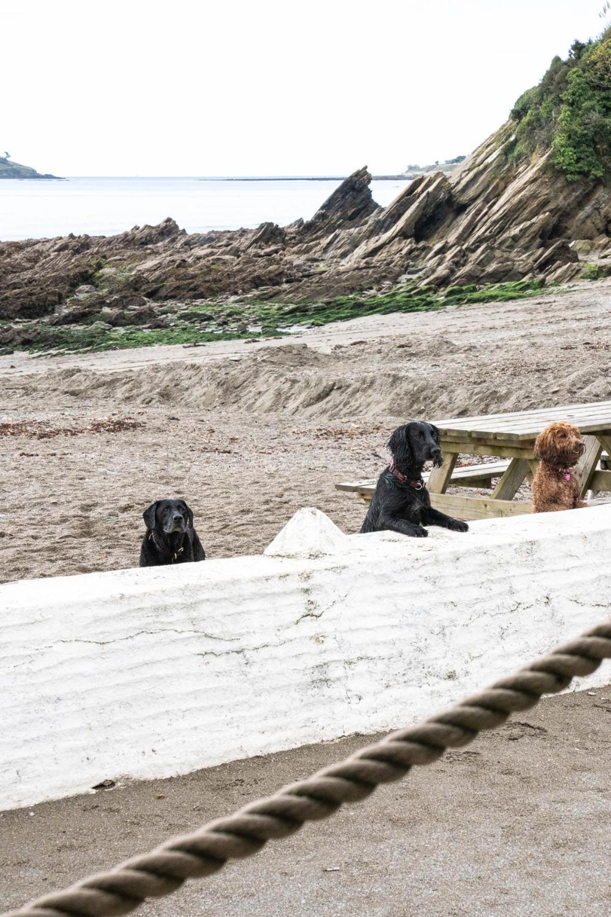Pet Friendly Sea View Villa Millendreath Looe Habitación foto